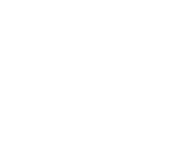 Hosting “Edad de Piedra” (S/ 89.00) • 500 MB de Almacenamiento • Dominio .COM Gratuito • 4 GB Transferencia Mensual • Aplicaciones Web Pre-instaladas • 10 Cuentas de Correo • CPANEL en español • 3 Bases de Datos Mysql • 1 Cuenta FTP • Subdominios Ilimitados