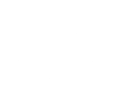 Hosting "Edad Antigua” (S/ 109.00) • 1 GB de Almacenamiento • Dominio .COM Gratuito • 6 GB Transferencia Mensual • Aplicaciones Web Pre-Instaladas • 15 Correos Corporativos • CPANEL en español • 5 Bases de Datos Mysql • 1 Cuenta FTP • Subdominios Ilimitados 